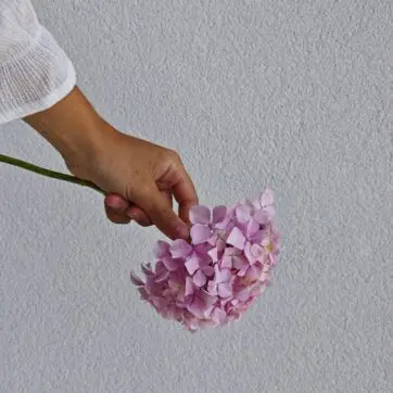 «La finca ya me incluye Wedding Planner»